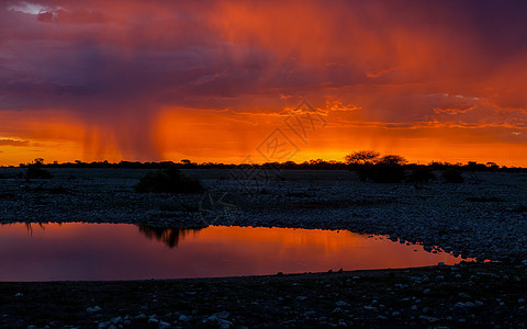 Etosha国家公园在日落的景象环境橙子天空公园全景太阳沙漠热带生态旅游水坑图片