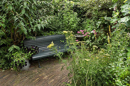 带长椅和花板的乡村式花园夏园种植杂草后院荒野粉色石头植物花朵乐趣图片