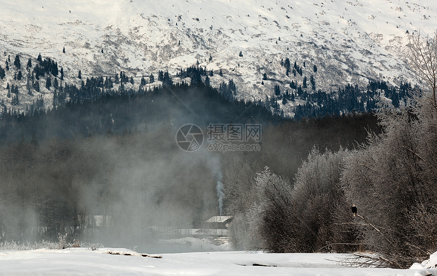 阿拉斯加的雪覆盖山国家蓝色地球旅行公园生态荒野天线仙境岩石图片