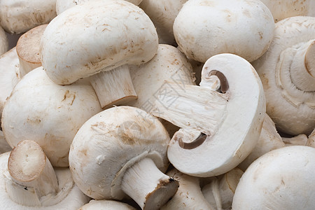 香农蘑菇营养烹饪蘑菇食物白色图片