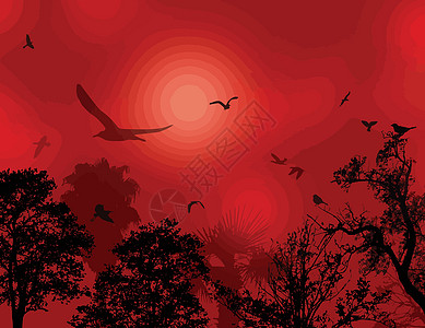 飞鸟的剪影绘画曲线植物刷子天空卡片插图风格创造力收藏背景图片