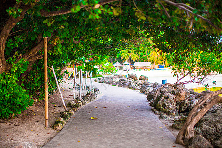 博拉凯岛海滩之间的足迹(Boracay岛)图片