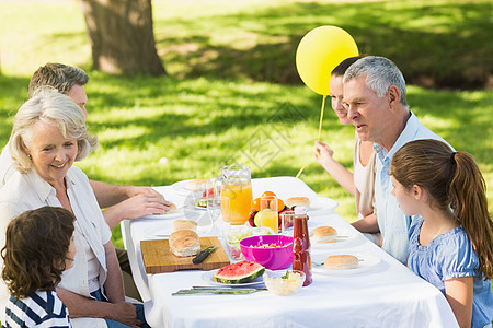 户外餐桌上的扩大家庭用餐食物家庭生活兄弟快乐午餐女性祖父祖父母女士男生图片