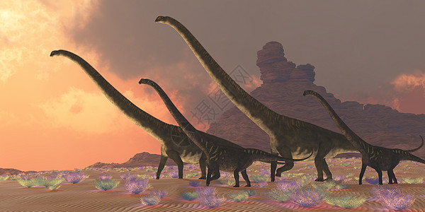 马门奇龙龙 恐龙怪物脊椎动物野生动物庞然大物蜥蜴生物食草巨龙古艺术荒野图片