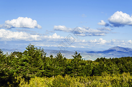 美丽的风景天空天气白色阴影爬坡土地森林环境绿色树木图片