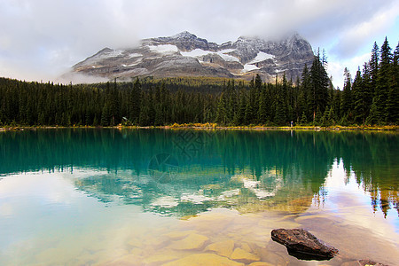 加拿大不列颠哥伦比亚省约霍国家公园奥哈拉湖天空冰川蓝色反射荒野公园树木高原风景高山图片
