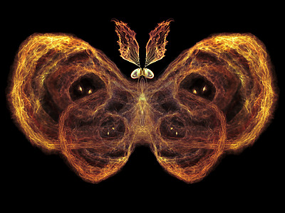 蝴蝶魔法数学传播昆虫学触角眼睛森林科学翅膀元素宏观图片