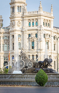 西班牙马德里著名的Cibeles喷泉广场雕像建筑地标纪念碑建筑学景观文化历史狮子艺术图片
