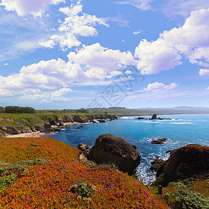 沿海1号的加利福尼亚点海滩波浪石头鸽子海岸旅行支撑海洋路线旅游海景图片