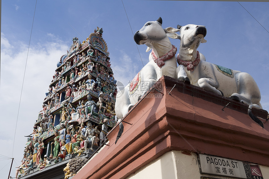 新加坡印度教寺庙天空建筑学奶牛雕塑蓝色旅行宗教红色地标崇拜图片