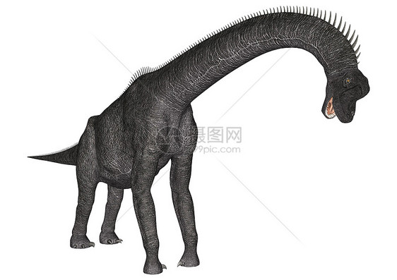 恐龙蓝清九龙爬虫野生动物恐龙怪物古生物学荒野侏罗纪捕食者白色手臂图片