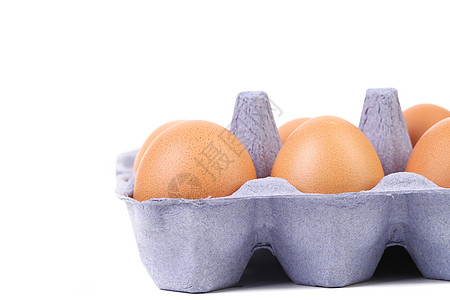 鸡蛋包装10个鸡蛋在一个蓝色的盒子里生活农场性别健康母鸡产品纸盒包装家禽蛋壳背景