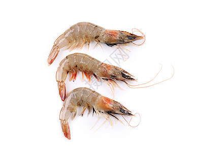 近距离接近新鲜虾类午餐美食动物营养海鲜食物饮食贝类白色甲壳图片