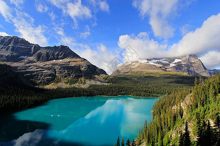 加拿大不列颠哥伦比亚省约霍国家公园奥哈拉湖天空高山树木反射国家风景荒野公园蓝色森林图片