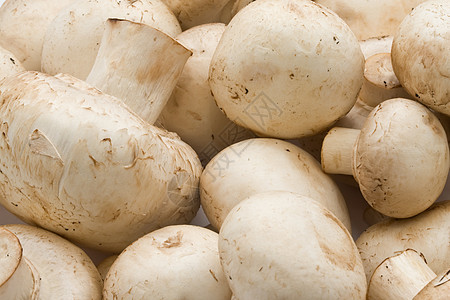 香农蘑菇食物烹饪白色营养蘑菇图片