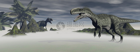 两只单硫龙恐龙石头岩石凤头巨龙侏罗纪爬行动物捕食者沙漠攻击食肉图片