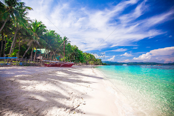拥有绿绿水和白沙的理想热带海滩假期天堂海洋蓝色海浪椰子旅行晴天太阳丛林图片