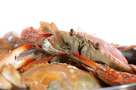 蒸螃蟹海鲜贝类晚餐食物甲壳动物厨师状态熟鱼美食家背景图片