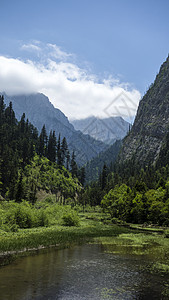 自然景观美丽游客水流旅游生态蓝色反射环境风景叶子图片