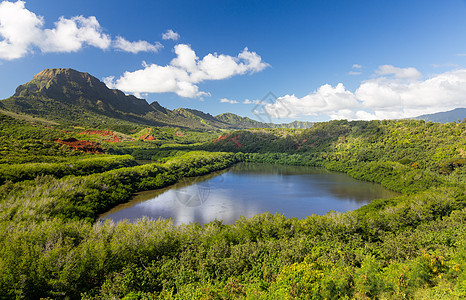 Menehune鱼塘Kauai夏威夷图片