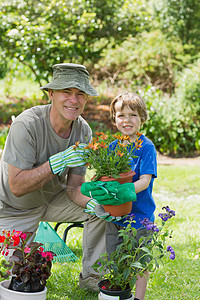 祖父和孙子从事园艺工作老年帽子爱好植物祖父母土地活动帮助花盆童年图片