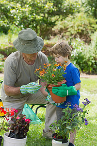 祖父和孙子从事园艺工作植物团结活动孩子花盆草地男生代沟帮助成人图片
