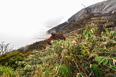 在Kinabalu山上徒步旅行旅游办公室商业地标场景公园首都蓝色吸引力天空图片