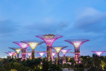 海湾旁的新加坡花园雕塑旅行城市景观天际天空树林码头商业建筑学图片