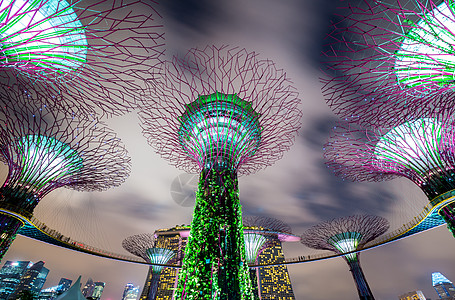 海湾旁的新加坡花园雕塑树林公园旅行景观地标建筑学建筑天空码头图片