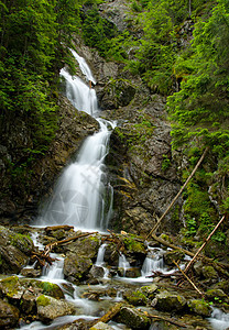高水瀑风景环境激流运动美丽木头森林植物天堂石头图片