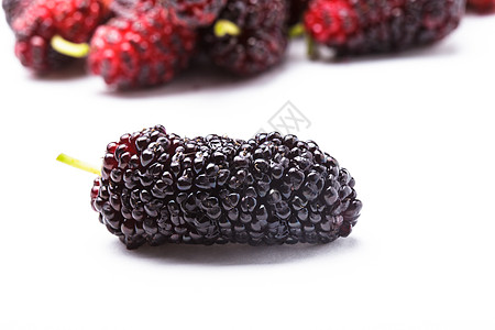 Mulberry 浆果梧桐素绿色食物红色黑色团体水果采摘宏观荒野图片