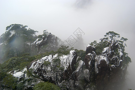 世界自然遗产三青山地貌的风景松树花岗岩旅游山谷悬崖山脉世界遗产图片