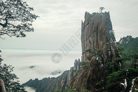 世界自然遗产三青山地貌的风景松树旅游山脉花岗岩悬崖世界遗产山谷图片
