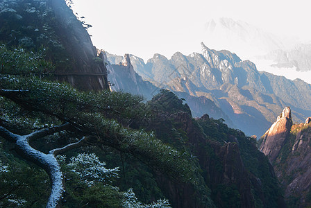 世界自然遗产三青山地貌的风景山谷松树悬崖世界遗产旅游花岗岩山脉图片