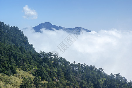 山峰 树木 云旅游山脉森林松树背景图片