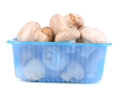 蓝盒子里的香蘑菇水平蔬菜白色营养食物美食工作室图片