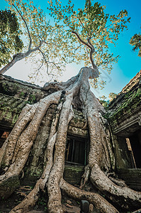 Angkor Wat综合体暹粒区古老的佛教赫默寺庙佛教徒天空雕塑旅游蓝色假期旅行艺术热带高棉语图片