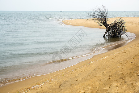 中国海南岛热带沿海景点的中国海南岛国际旅行沙滩图片