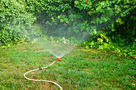 草坪供水院子生长绿色淋浴灌溉水滴技术洒水器管道花园图片