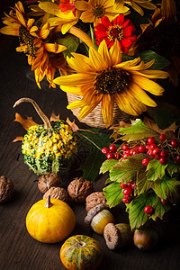 秋天颜色的静止生命植物棕色花朵橙子工作室绿色白色花瓶静物南瓜图片