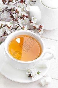 茶午餐水果芳香刺激时间早餐杯子陶器兴奋剂枝条图片