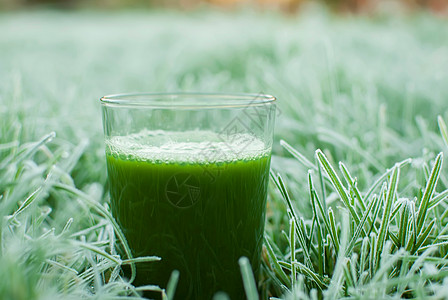 健康绿色脱毒汁水果养分活力奶昔营养叶子木头饮食饮料芹菜图片