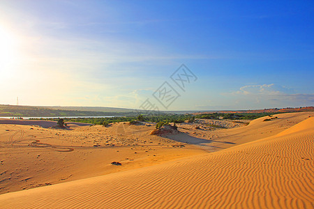 沙漠沙漠地平线全景场景金子沙丘灰尘冒险田园地形风光图片