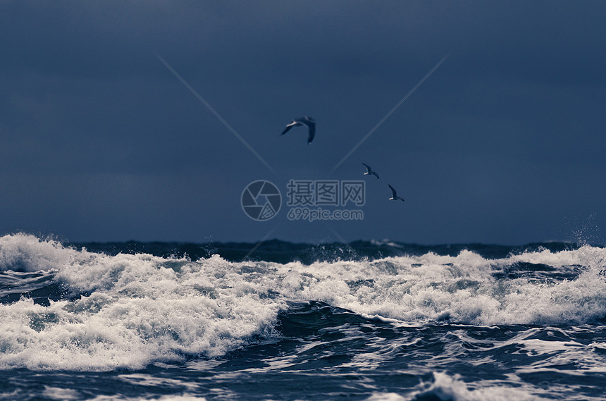 海鸥海岸线蓝色海洋冲浪环境海浪热带旅行支撑波纹图片