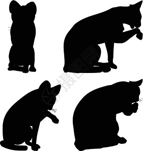 猫集合矢量 silhouett插图动物女性阴影尾巴团体男性宠物冒充绘画设计图片