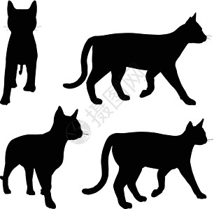 猫集合矢量 silhouett白色冒充男性阴影女性夹子绘画艺术尾巴动物设计图片