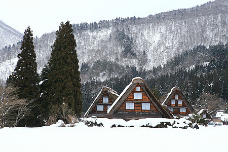 白川去村小屋松树合掌建筑世界遗产房子运河遗产住宅茅草农场图片