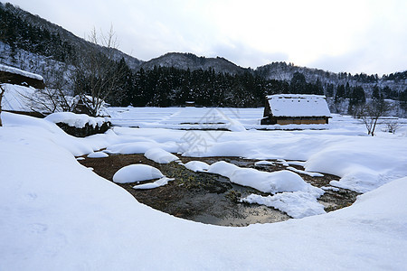 日本吉福白川戈建筑运河世界遗产小屋松树遗产合掌白川农场瀑布图片