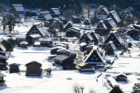 日本白川地村的景点遗产白川历史地标小屋松树建筑学茅草建筑村庄图片