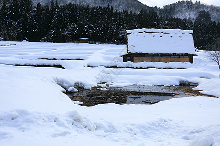 白雪背景白川去村小屋建筑学地标松树茅草瀑布建筑白川运河世界遗产农场背景